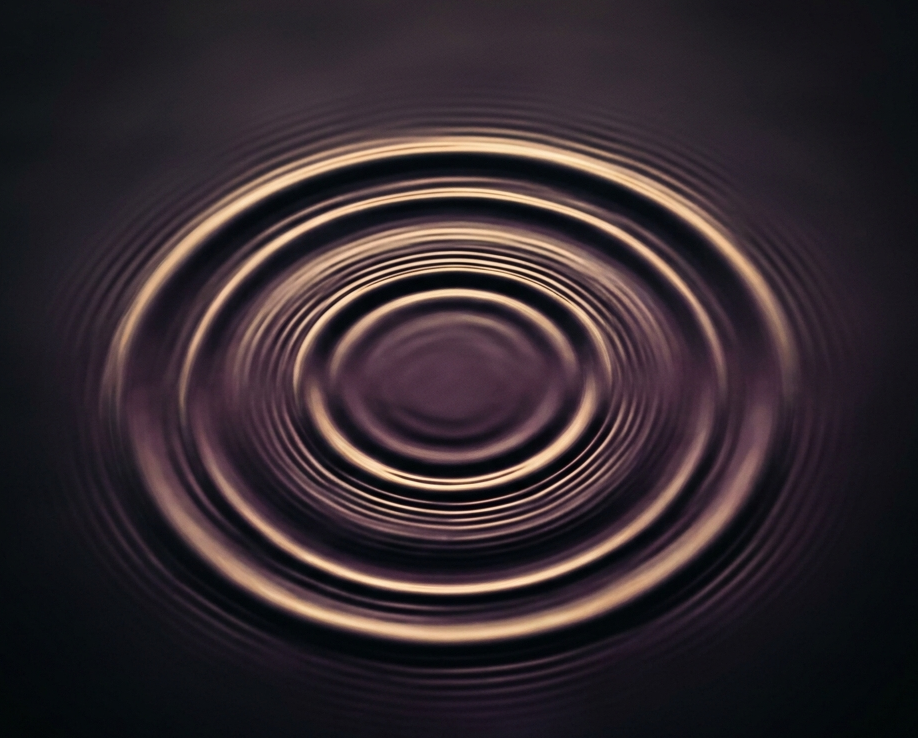 Le Cercle du Vivant